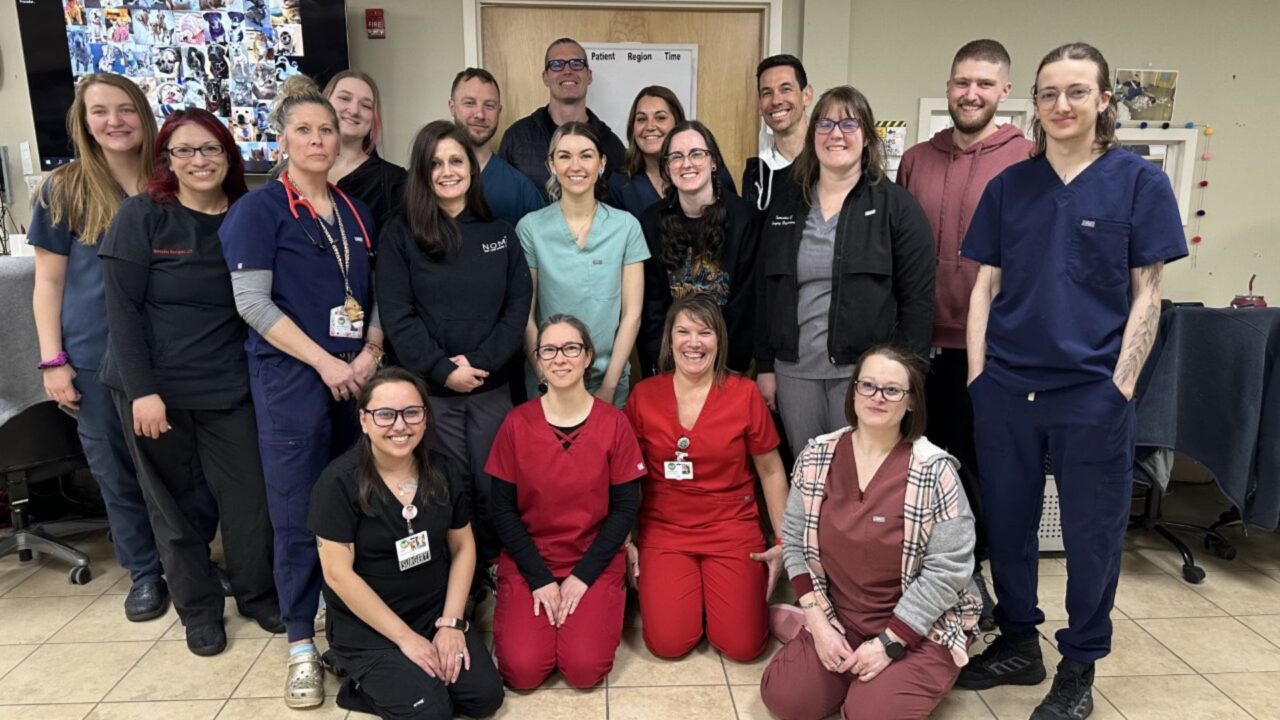 Pet Surgery In Scarborough, ME Maine Veterinary Medical