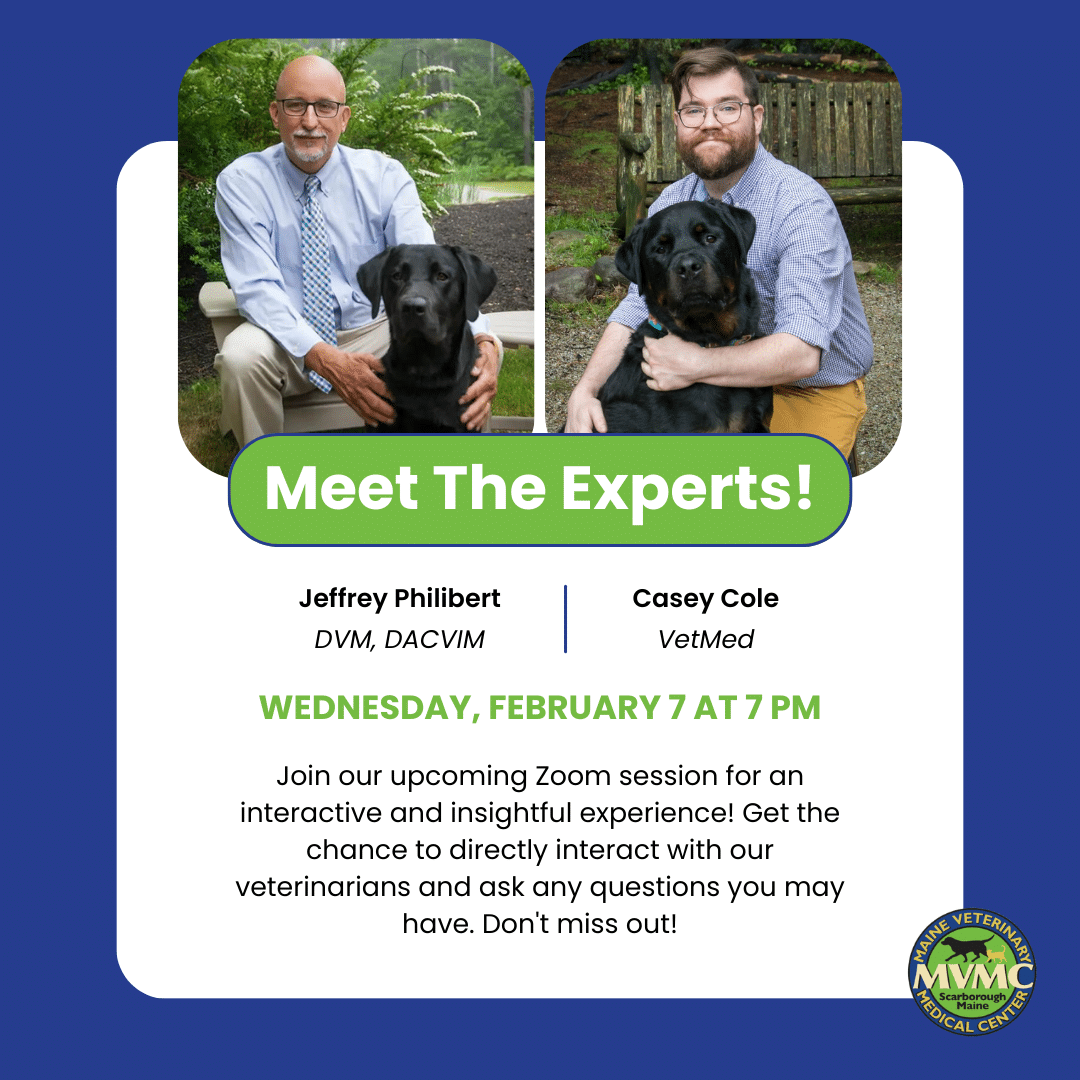 Events Maine Veterinary Medical