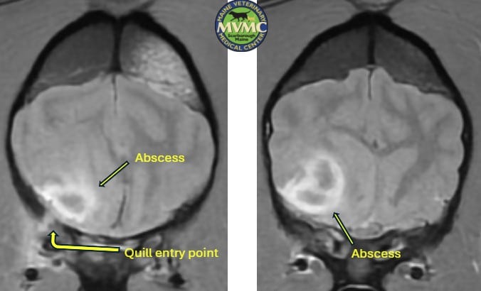 2 CT-Scan